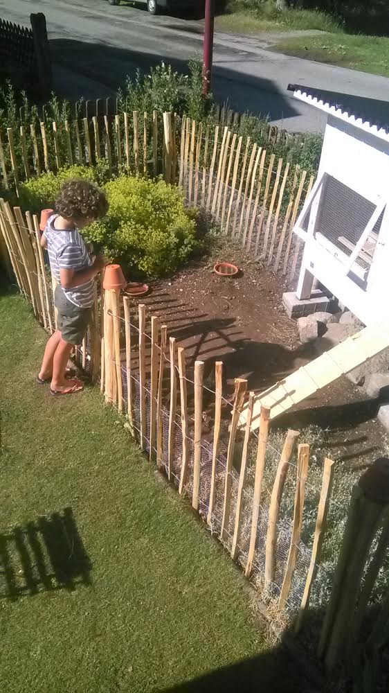 Außenanlage mit Hühnerstall in einem Garten.